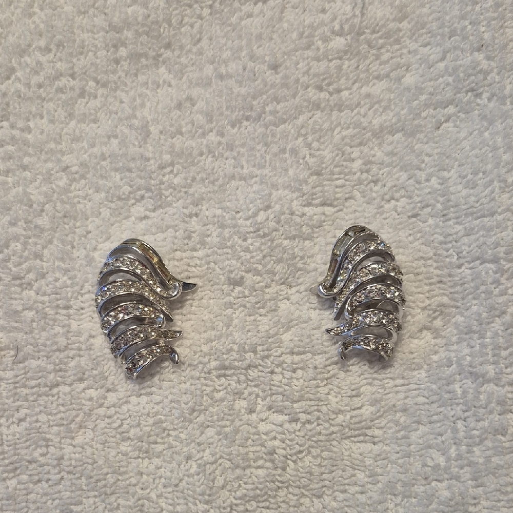 Elegant Silver Earrings